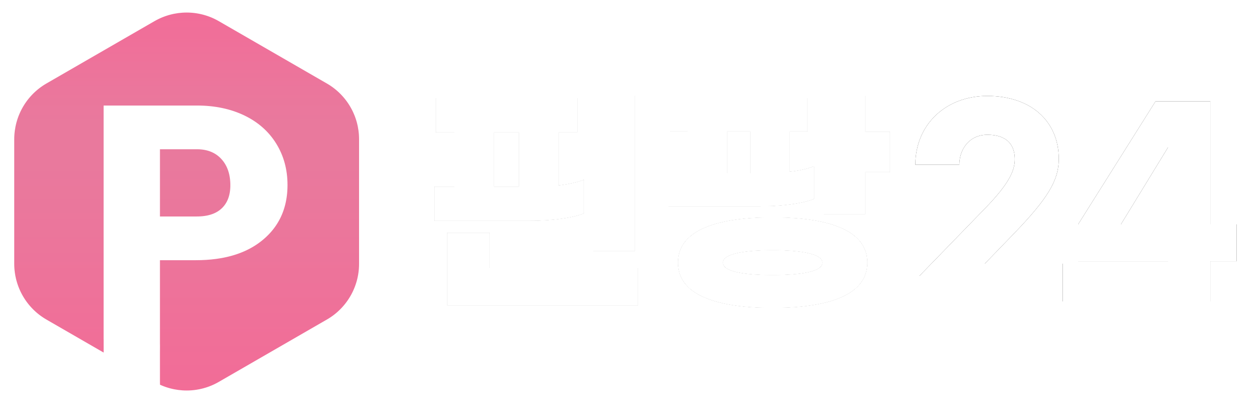 핀팡24